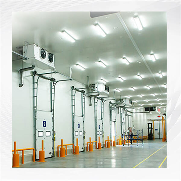 Maximizing Efficiency with Cold Room Storage Solutions