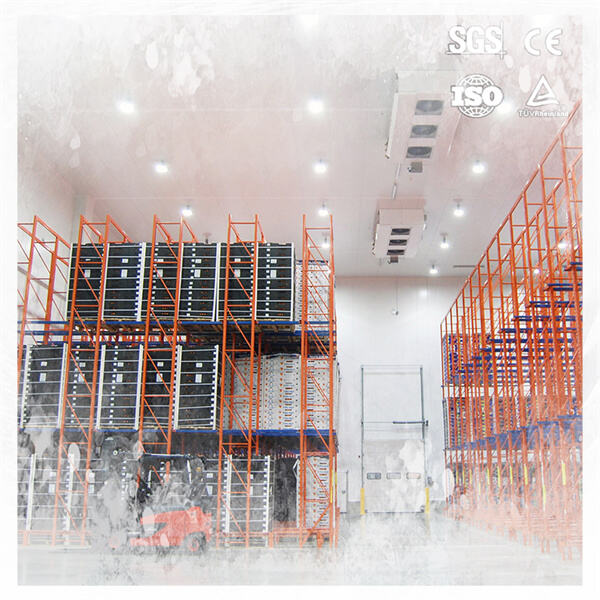 恒温式ウォークインクーラーソリューションで保管スペースをアップグレード