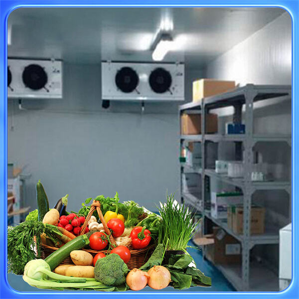 アイスクリーム保管向けの冷凍室技術における最新のトレンドとは?