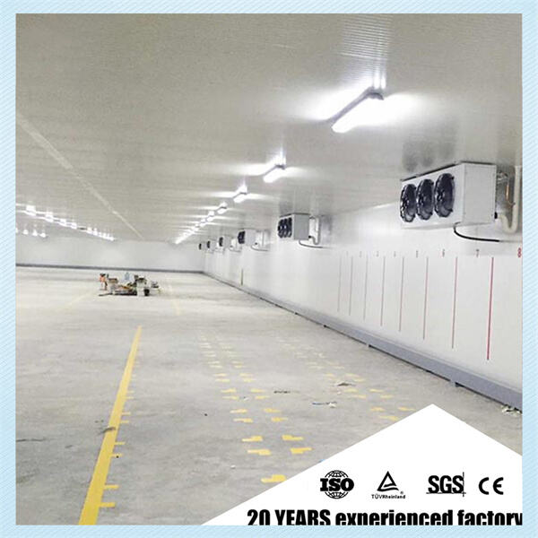 当社の歩行可能な肉類冷却庫が競合他社と一線を画す理由