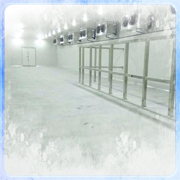 Innovative Technologies for Keeping Your Freezer Room Running Smoothly