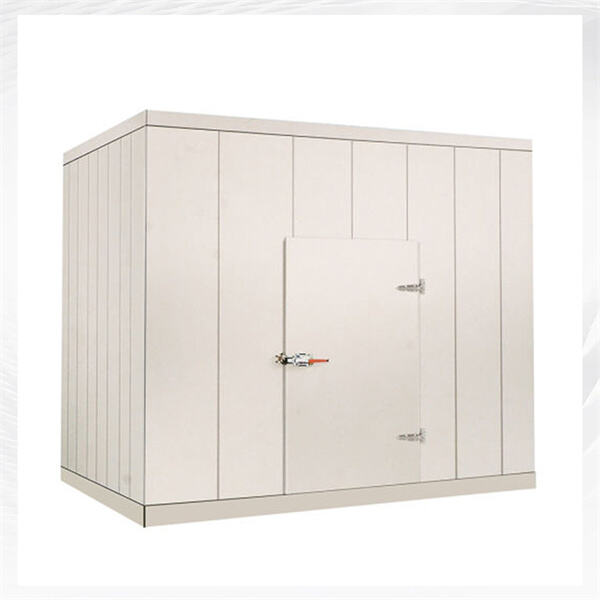 The Ultimate Guide to Designing a Functional Refrigerator Room