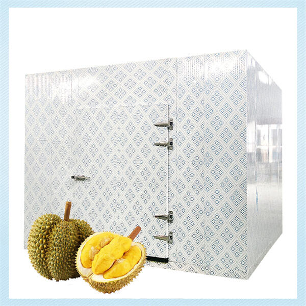 Understanding the Technology Behind Freezer Rooms