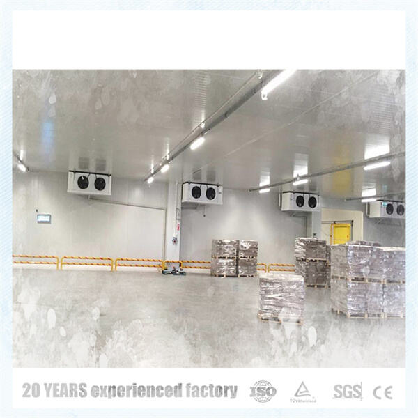 تأكد من درجات الحرارة المثلى لمنتجاتك باستخدام ثلاجة تُدخل إليها مشيًا