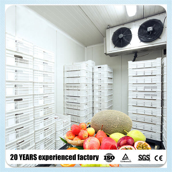 So pflegen und warten Sie Ihre Walk-in-Kühleinheit richtig