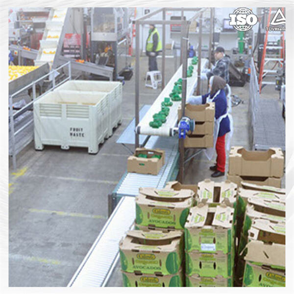 Choosing the Right Size and Layout for Your Walk-in Cooler or Freezer
