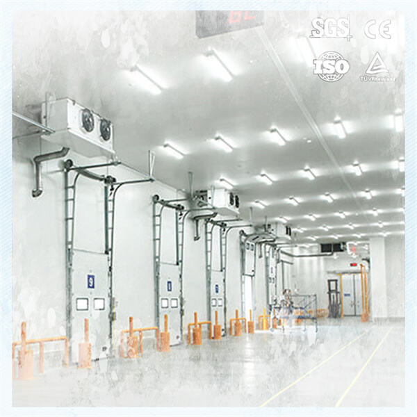 レストラン向けに屋外設置型ウォークイン冷凍庫を導入するメリット