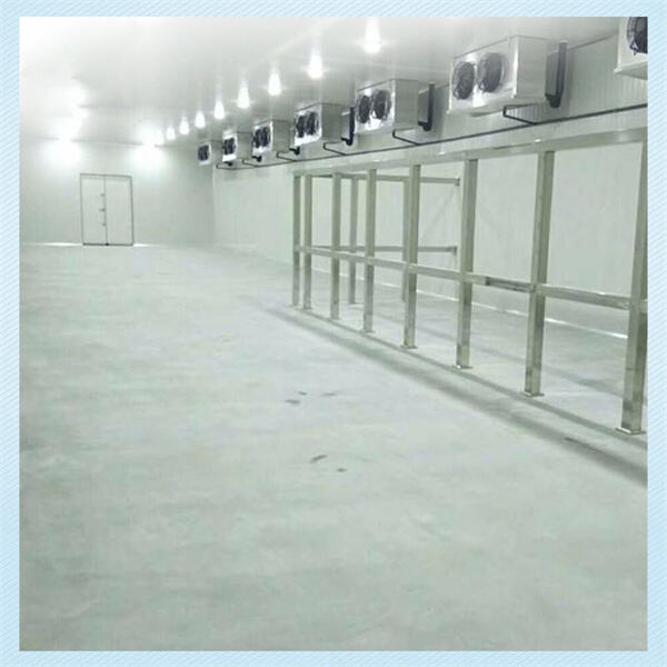 Maintaining and cleaning your walk-in cooler freezer