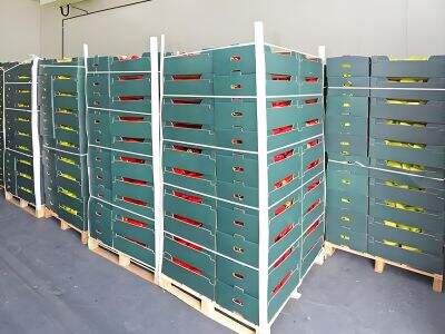 Hur gå-in kylplattor stödjer skräddarsydda kallrum