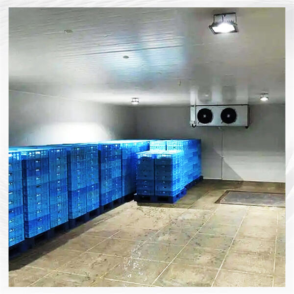Cost-Effective Walk-In Freezer Solutions to Maximize Storage Efficiency