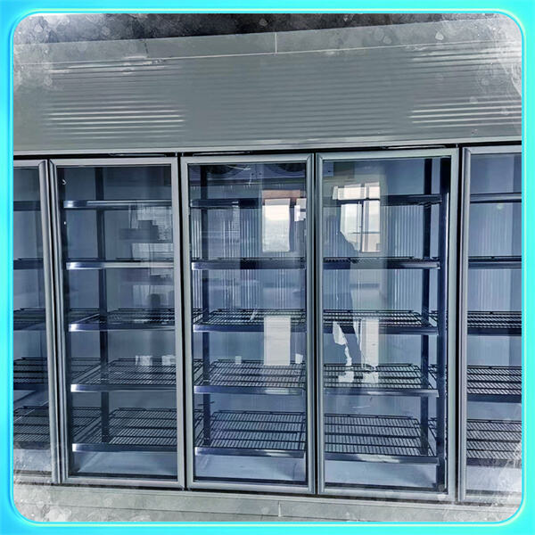Increase Energy Efficiency and Save Costs with Insulated Cold Room Glass Doors
