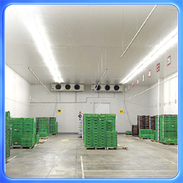 How a Cold Room Freezer Can Help