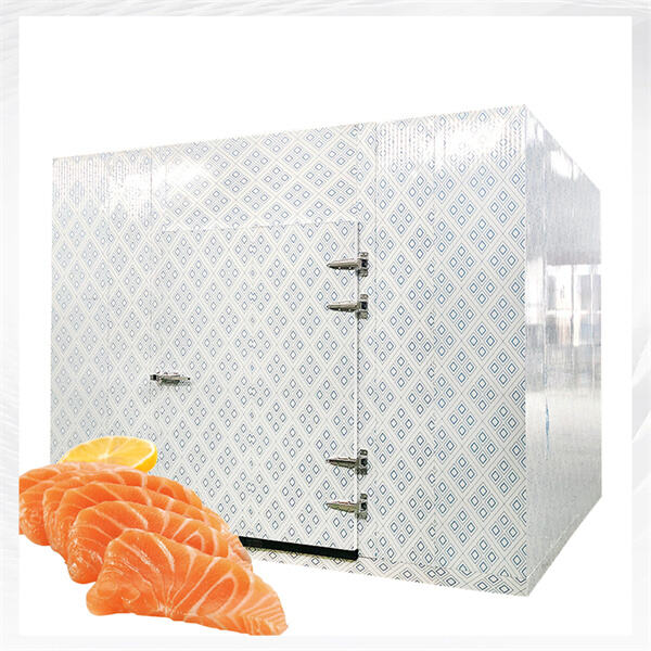 Keeping Your Products Fresh with Reliable Cold Room Units