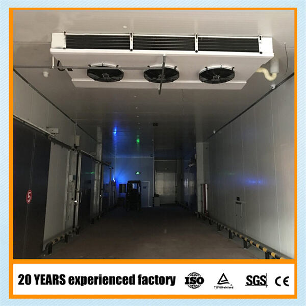 Customizable Options for Cold Room Refrigeration Systems