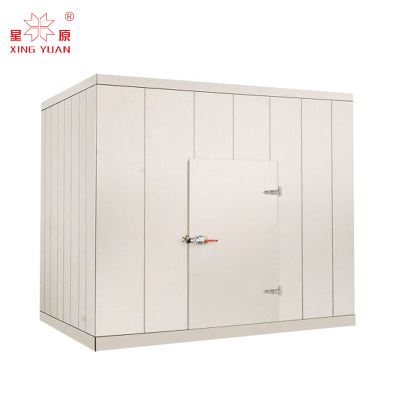 Blast Freezer