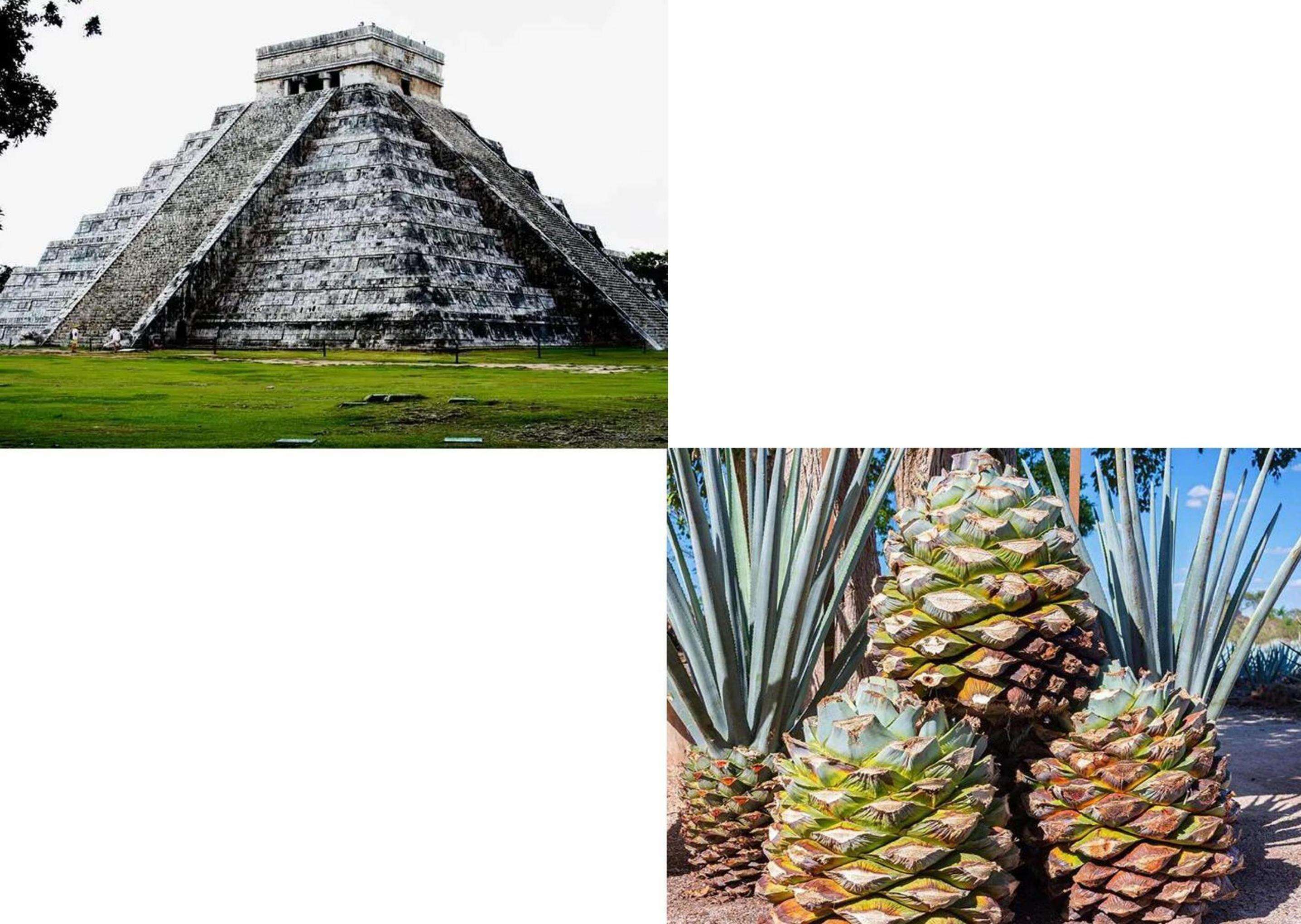 product 700ml round glass liquor bottle with tequila from a customizable glass bottle supplier guarantees both quality and quantity135-2