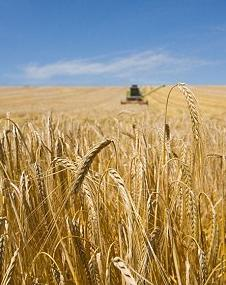 product spirit glass  bottle vodka  whisky tequila  gin  brandy   750 ml 700ml glass bottle for liquor-2