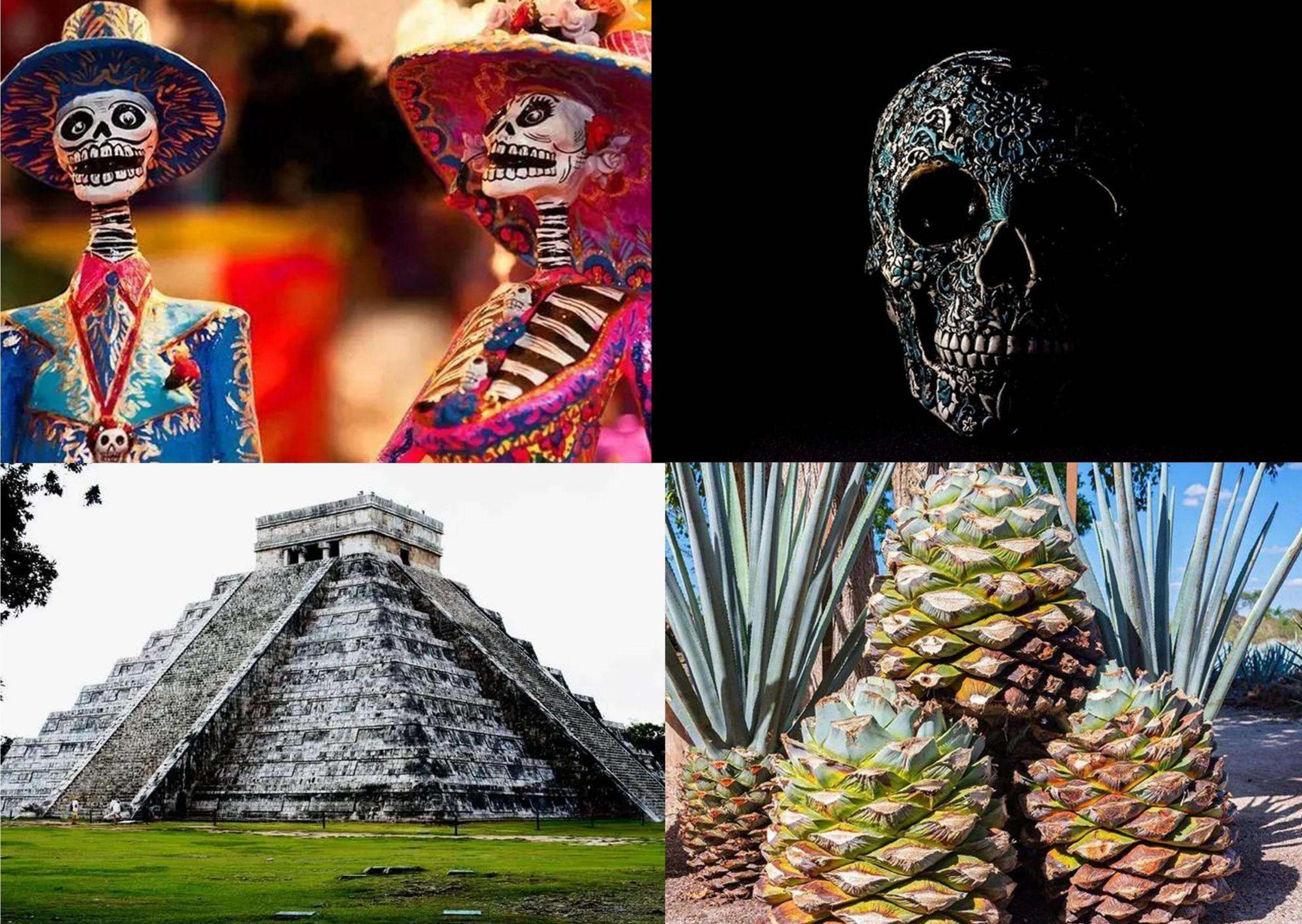 product 750ml glass liquor bottles oem custom logo high quality tequila spirits bottle comes with custom box-2