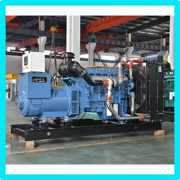 Betrieb des Generators: Eine Anleitung