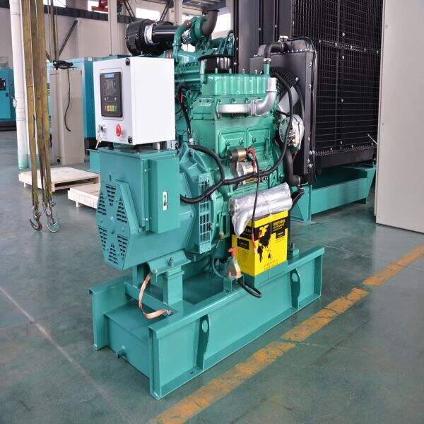 10kva Genset Safety Feature