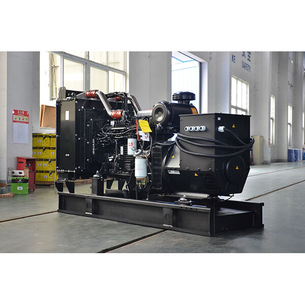 Leistung des Diesel Generators 10KW