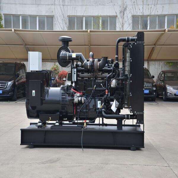 Precautions for 100kw Diesel Generator