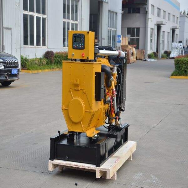 How to Ensure Efficient Operation of a 1000kva Diesel Generator in Harsh Environments?