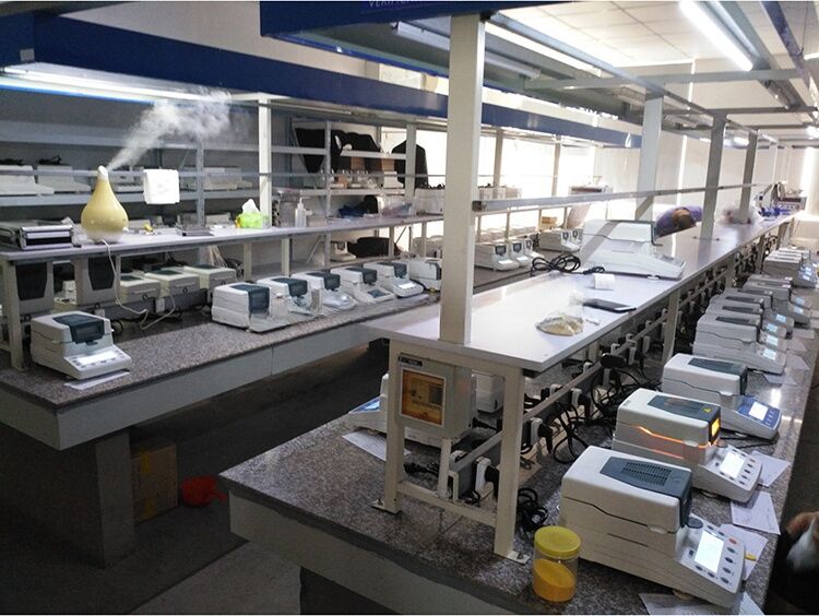 MC3003 compact top loading laboratory balance manufacture