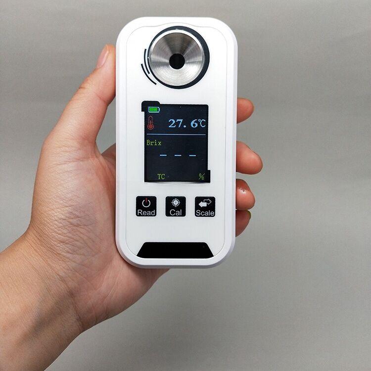 WZP2 seies portable refractometer supplier