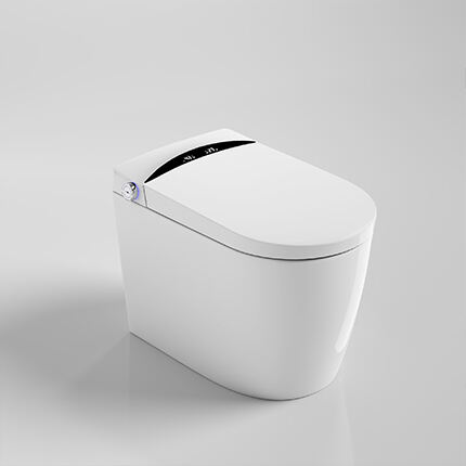 MB-10A Rimless smart toilet suite w/remote control gloss white