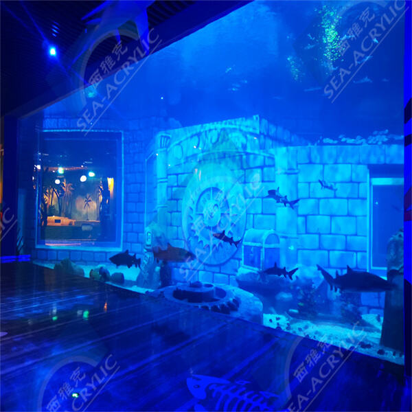 The Fascination of Acrylic Tunnel Aquariums