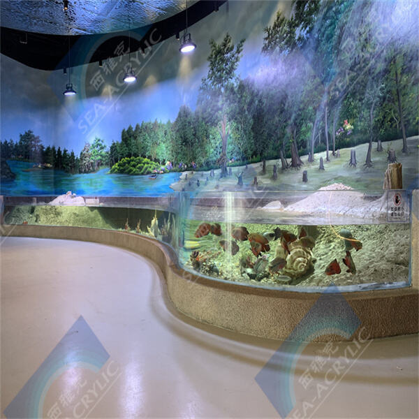 Choisir la compatibilité des poissons - Sélectionner un ensemble de bons compagnons pour votre aquarium et demander des espèces compatibles