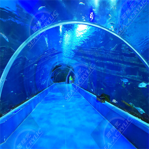 Elevate your interior design with a unique and modern acrylic oval coffee table featuring a built-in fish tank.
