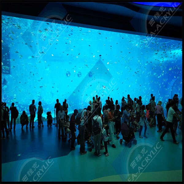 Behalten Sie Ihr Acryl-Aquarium wie neu, indem Sie einfache Reinigungsverfahren anwenden.