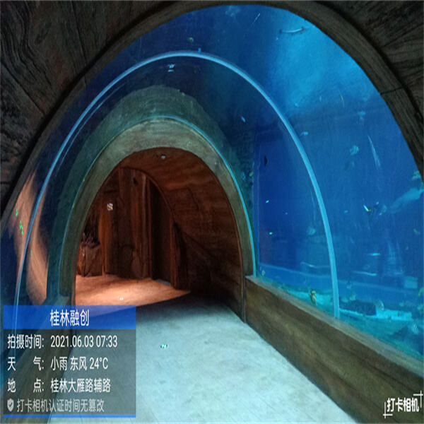 The Ultimate Guide to Setting Up Your Acrylic Fish Tank