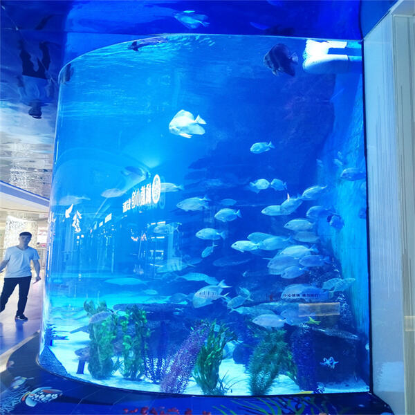 Why acrylic aquariums tanked are the trend of the future