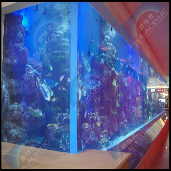 Relancez votre monde sous-marin avec un aquarium en acrylique