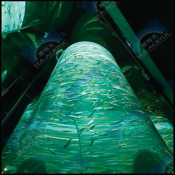 Bring a Touch of Elegance to Your Aquarium with a Large Diameter Acrylic Tube.