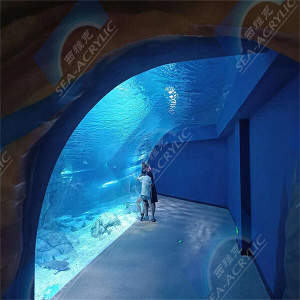 The durability and minimal maintenance associated with above ground plexiglass pools.