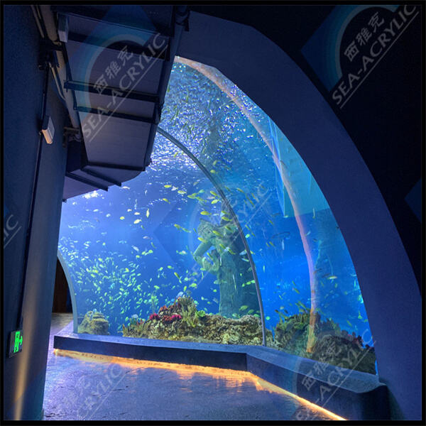 Discover the wonders of marine life with a crystal-clear cylindrical acrylic aquarium.