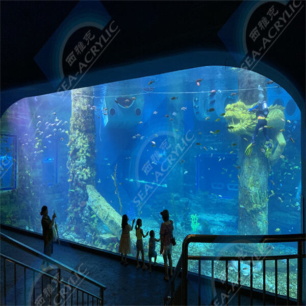 Discover the allure of a cylindrical aquarium with an acrylic tube fish tank