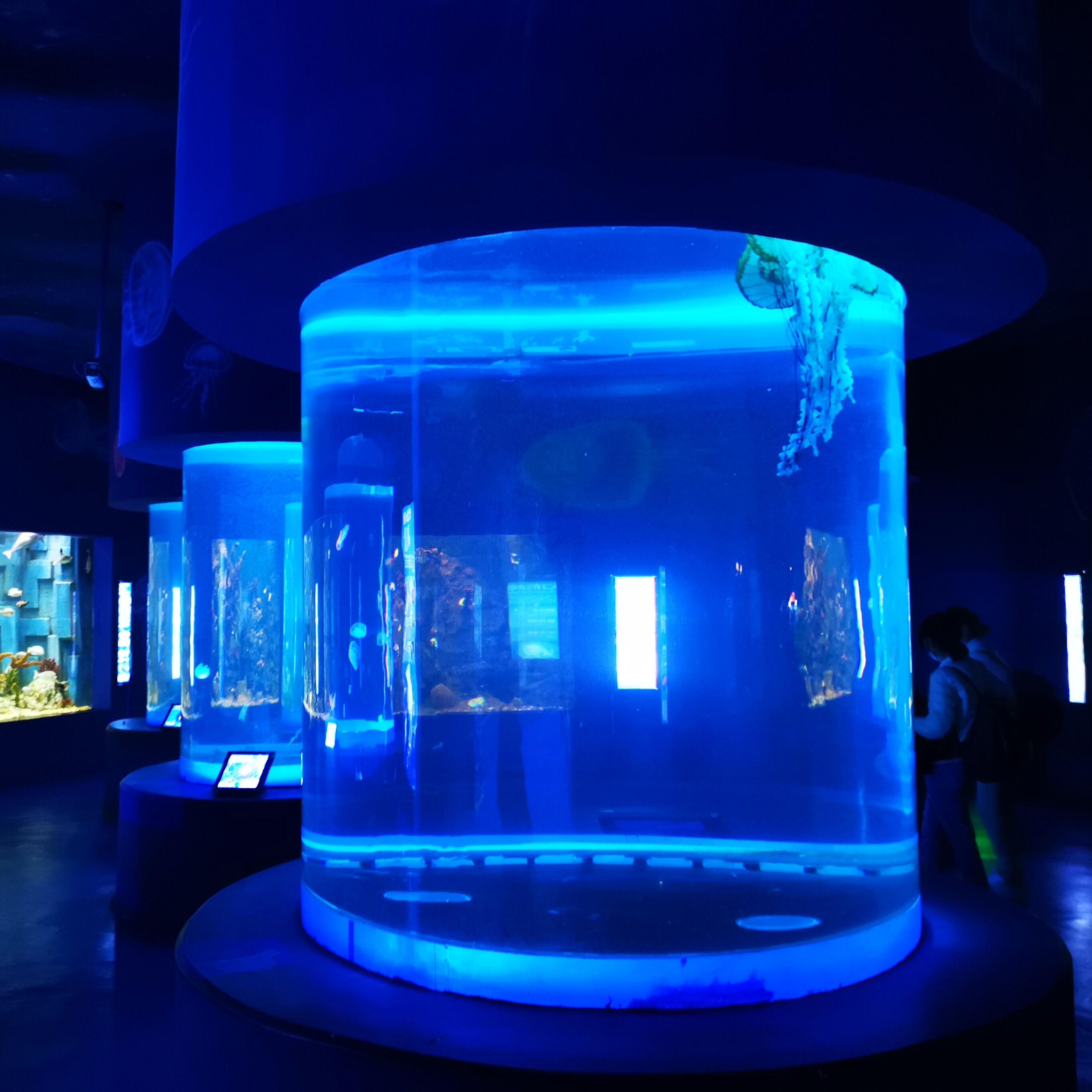 2024 customized cylindrical acrylic glass aquarium project factory