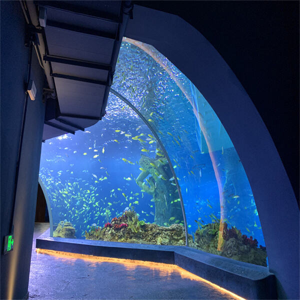 Best brands available for High-End Aquarium and tanks made of Acrylic Glass