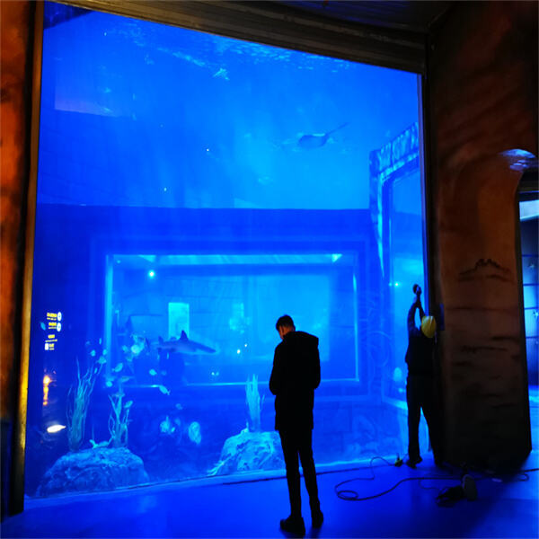 Create a stunning focal point in your home with a crystal-clear acrylic fish tank.