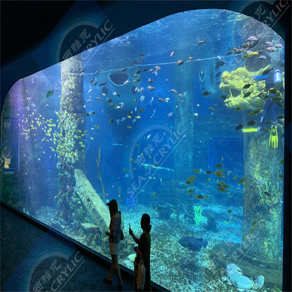 Aquarium en acrylique stylé