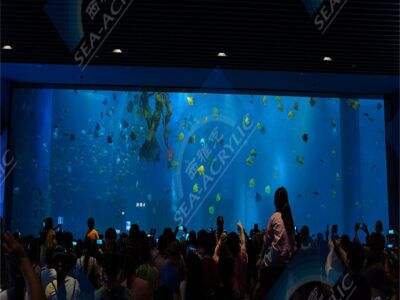 Su Altı Akvaryum Tasarımlarında Şeffaf Akrilik Tünellerdeki Son Eğilimler