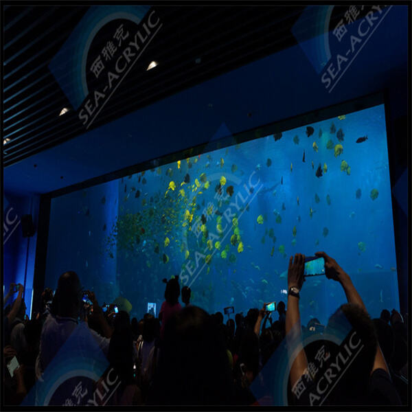 Relaxing in Your Outdoor Acryl Aquarium