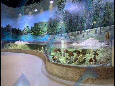 Neden Özel Akrilik Akvaryumlar Karmaşık Şekil Uyumluluğunda Öne Çıkar