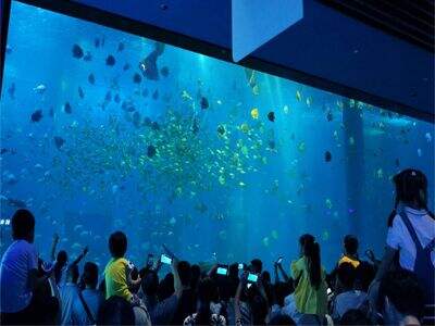 Akrilik Akvaryum Panellerinde Kalınlığın Basınç Direnci Açısından Rolü