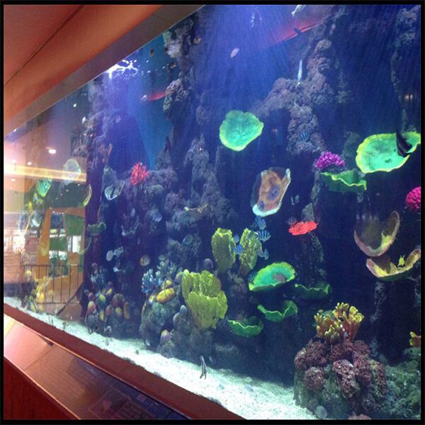 Create a stunning centerpiece with a glass acrylic table fish tank